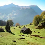 Апартаменты Mit Bergblick By Interhome Гриндельвальд