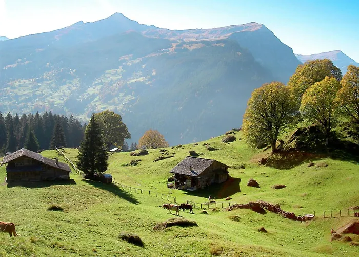 Appartement Mit Bergblick By Interhome Grindelwald